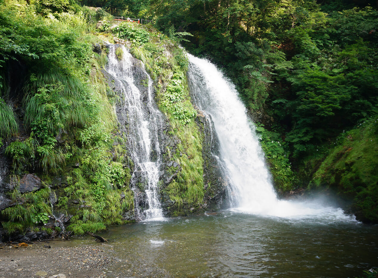緑豊かな自然に囲まれた白い水しぶきを上げる白銀の滝