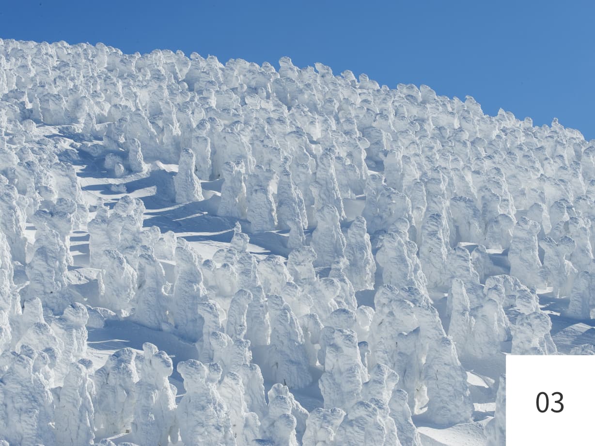 青空の下に広がる蔵王の樹氷群