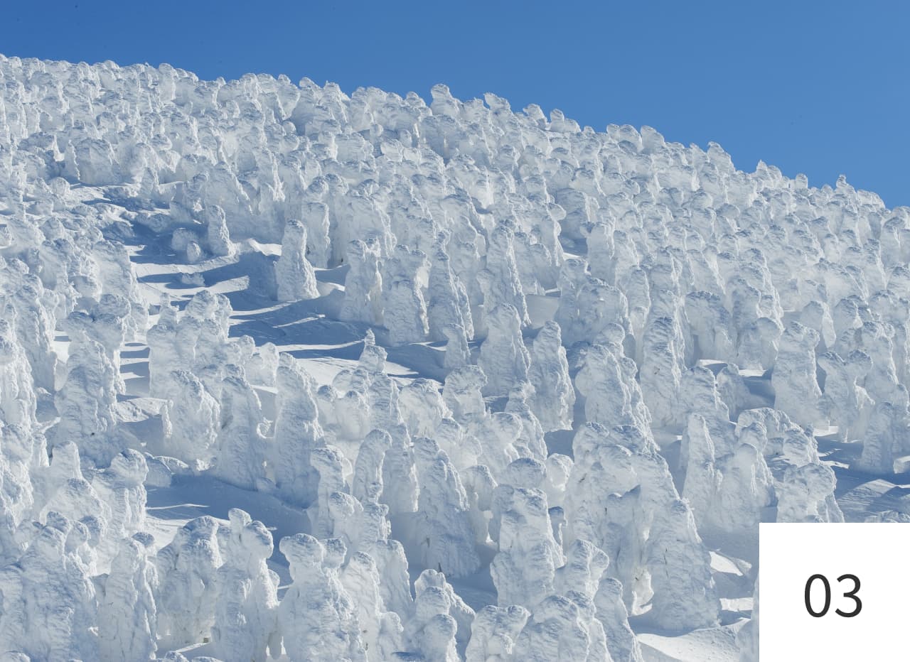 青空の下に広がる蔵王の樹氷群